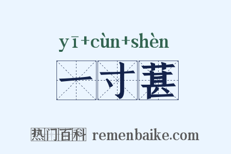 一寸葚是什么意思的图片